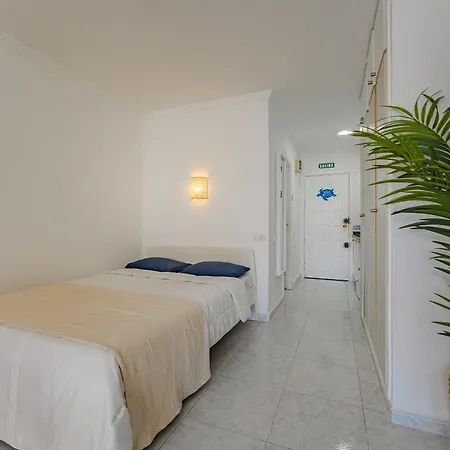 Torres Del Sol Estudio 아파트 아로나